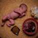 La pratica del Lotus birth: prevede che il bambino rimanga attaccato alla placenta tramite il cordone omblicale (che non viene quindi reciso)